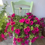 Sonia Apartament *