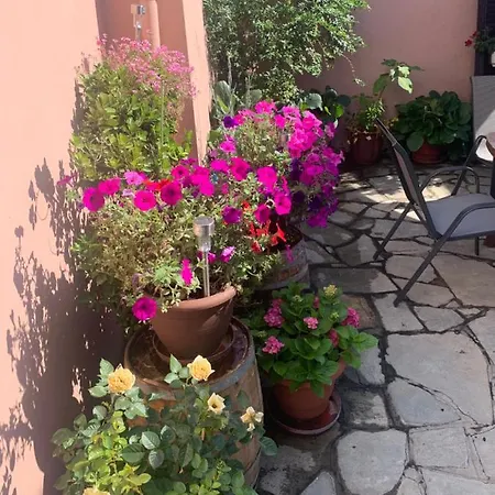 Sonia's Apartment Agios Nikolaos (Chalkidiki)