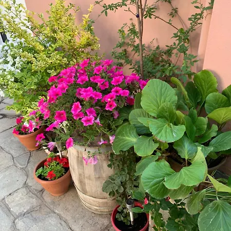 Sonia Apartament