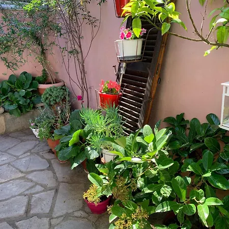 Apartament Sonia Agios Nikolaos (Chalkidiki)